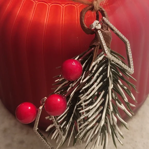 NIB Hoop Earrings Adornia - Picture 12 of 13